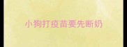 小狗打疫苗要先断奶