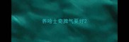 养哈士奇脾气要好