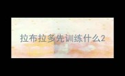 拉布拉多先训练什么