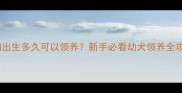狗狗出生多久可以领养新手必看幼犬领养全攻略