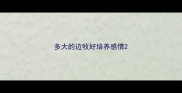 多大的边牧好培养感情