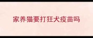 家养猫要打狂犬疫苗吗