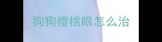 狗狗樱桃眼怎么治