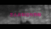 怎么自制边牧狗粮