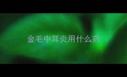 金毛中耳炎用什么药
