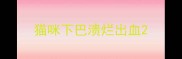 猫咪下巴溃烂出血