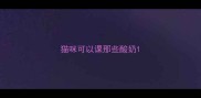 猫咪可以课那些酸奶