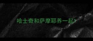 哈士奇和萨摩耶养一起