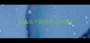 泰迪站不起来怎么回事