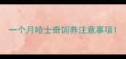 一个月哈士奇饲养注意事项