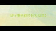 闵行哪里能打狂犬疫苗