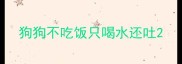 狗狗不吃饭只喝水还吐