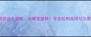 宠物鸡疫苗全攻略去哪里接种专业机构选择与注意事项