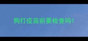 狗打疫苗前要检查吗