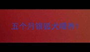 五个月银狐犬喂养
