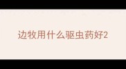 边牧用什么驱虫药好