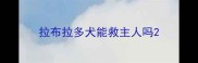 拉布拉多犬能救主人吗