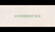 训犬师都提前打疫苗