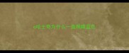 q哈士奇为什么一直眼睛蓝色