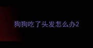 狗狗吃了头发怎么办