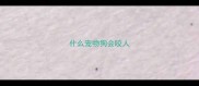 什么宠物狗会咬人