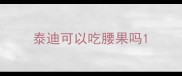泰迪可以吃腰果吗