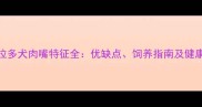拉布拉多犬肉嘴特征全优缺点饲养指南及健康建议