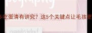 拉布拉多吃蛋清有讲究这5个关键点让毛孩更健康