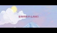 宠物狗吃什么肉好