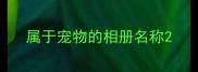 属于宠物的相册名称