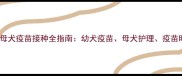 产后42天必看母犬疫苗接种全指南幼犬疫苗母犬护理疫苗时间表一篇说清