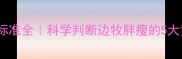边牧体型标准全科学判断边牧胖瘦的5大黄金法则