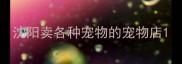沈阳卖各种宠物的宠物店