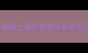 狗哈士奇的智商排名第几