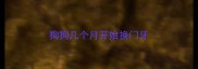 狗狗几个月开始换门牙