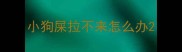 小狗屎拉不来怎么办