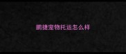 鹏捷宠物托运怎么样