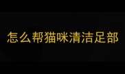怎么帮猫咪清洁足部
