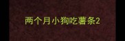 两个月小狗吃薯条