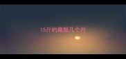 15斤的藏獒几个月
