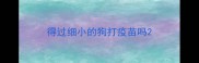 得过细小的狗打疫苗吗
