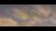 小狗断尾后露着骨头