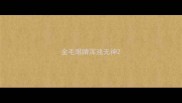 金毛眼睛浑浊无神