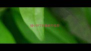 细小好了后重新打疫苗