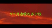 9个月边牧吃多少钱