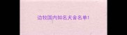 边牧国内知名犬舍名单