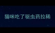 猫咪吃了驱虫药拉稀