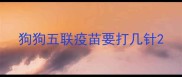 狗狗五联疫苗要打几针