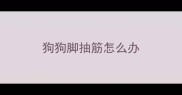 狗狗脚抽筋怎么办