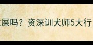 哈士奇总叫唤是拉屎吗资深训犬师5大行为真相养狗必看